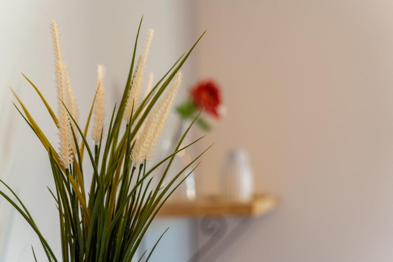 Apartamenty Nad Niwka Белско-Бяла Екстериор снимка